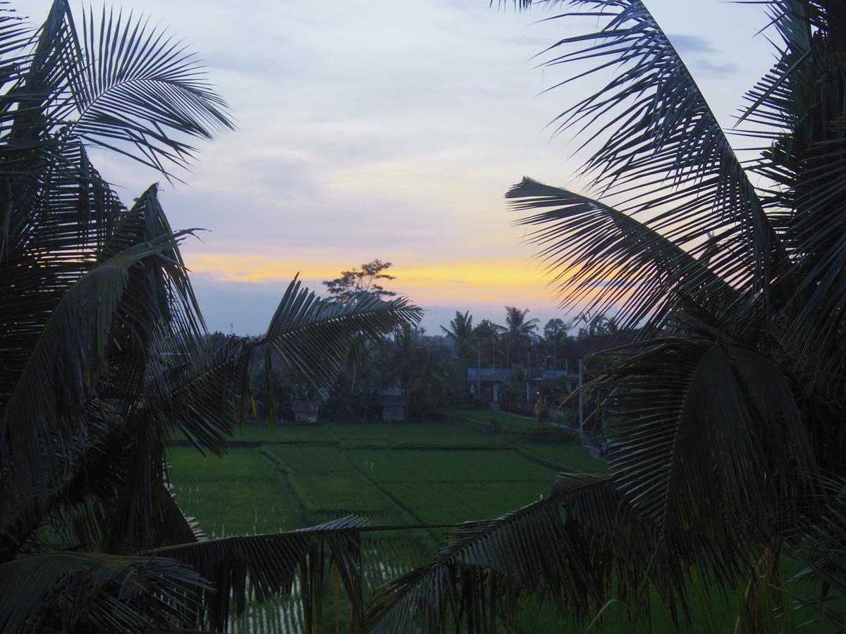 Eden House Ubud Exterior foto
