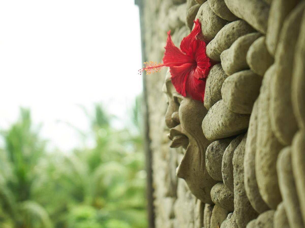 Eden House Ubud Exterior foto