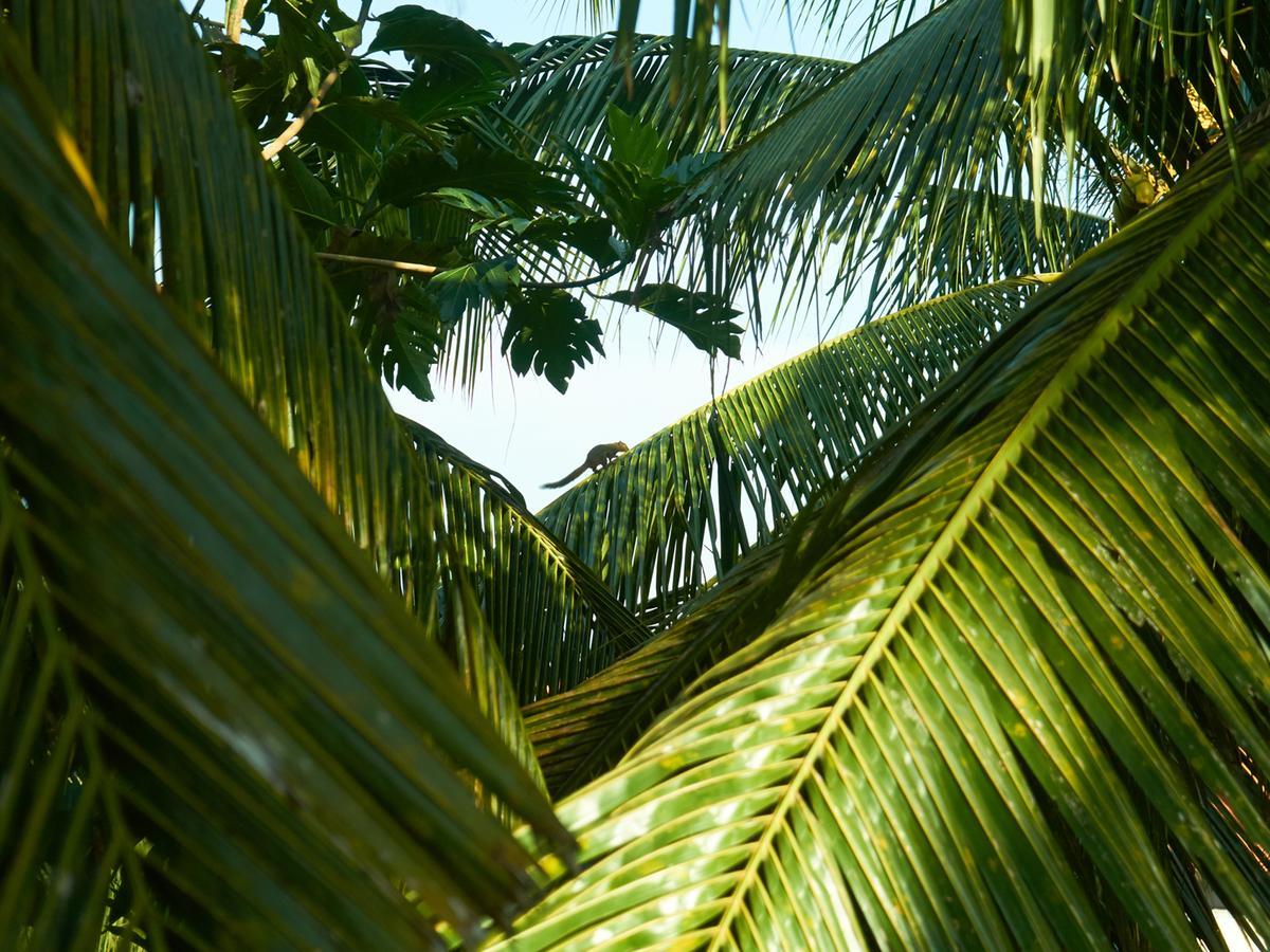 Eden House Ubud Exterior foto
